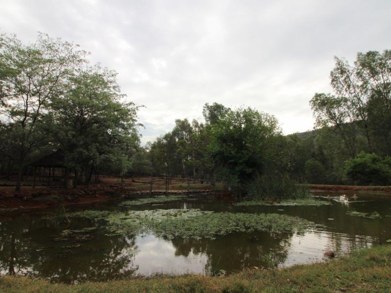 Self Sustainable Lifestyle Farm - Photo 2