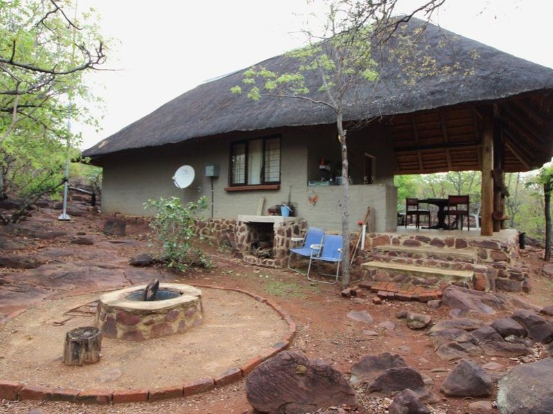 Self Sustainable Lifestyle Farm - Photo 6