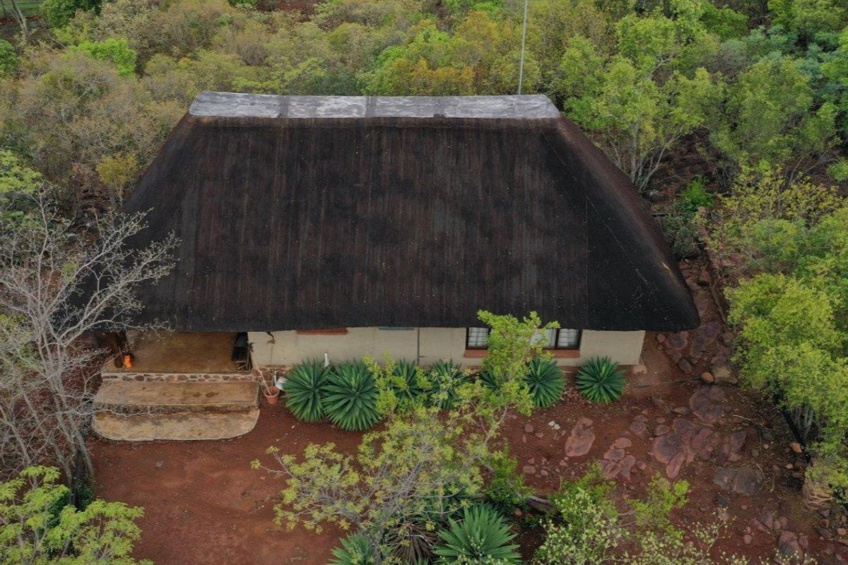 Self Sustainable Lifestyle Farm - Photo 3