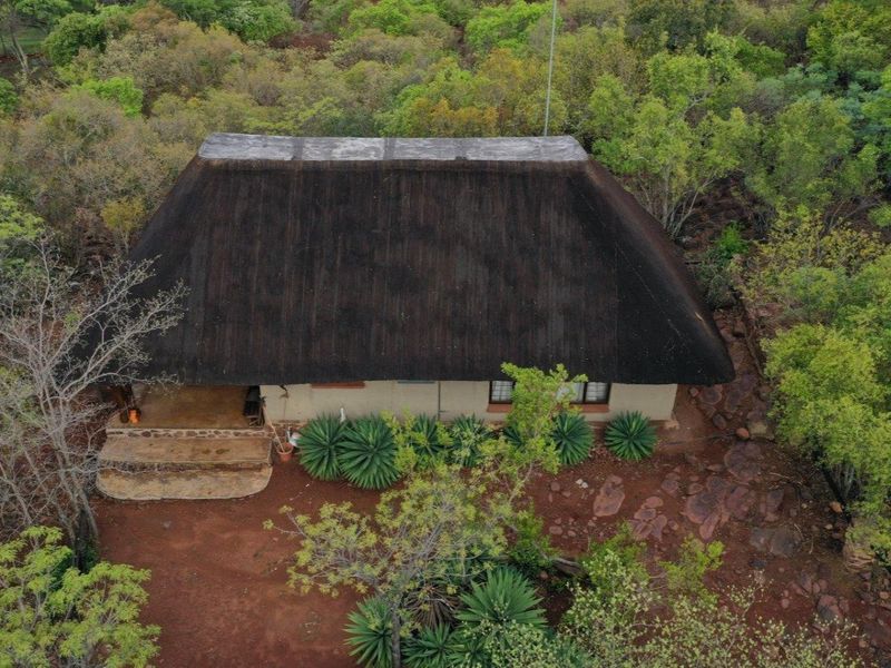 Self Sustainable Lifestyle Farm - Photo 3