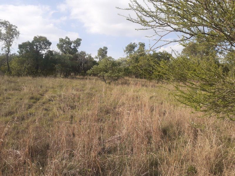 Rich with potential! - Photo 8