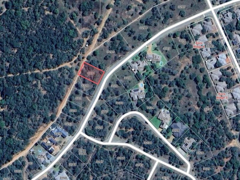 Rich with potential! - Photo 6