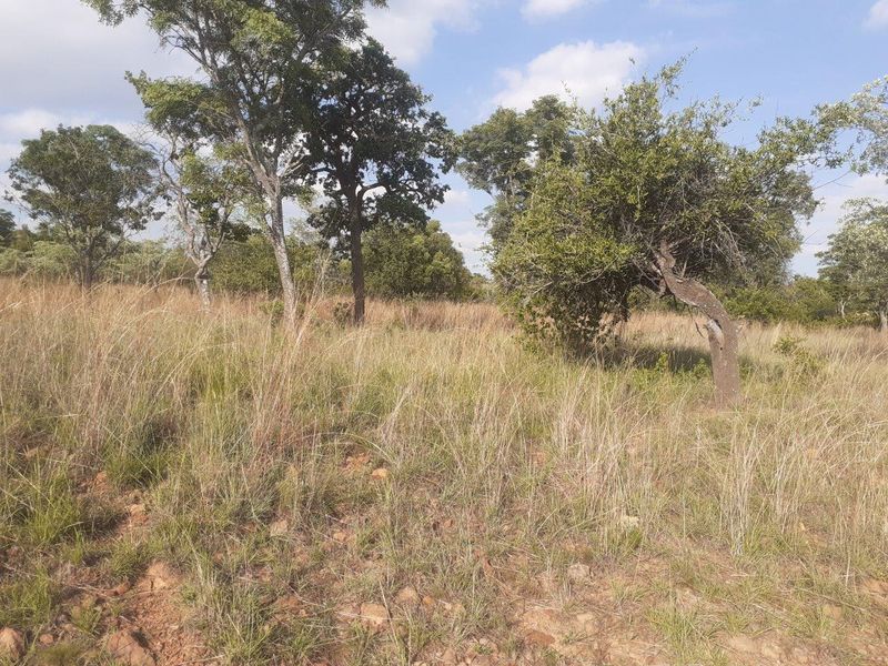 Bring the dream to life - Photo 5