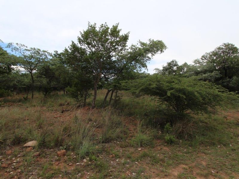 GREEN BELT OASIS - Bushveld Living! - Photo 9