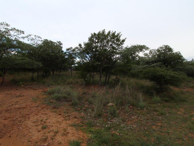 GREEN BELT OASIS - Bushveld Living! - Photo 6