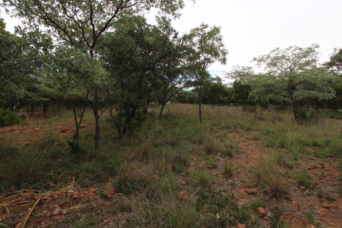 GREEN BELT OASIS - Bushveld Living! - Photo 2