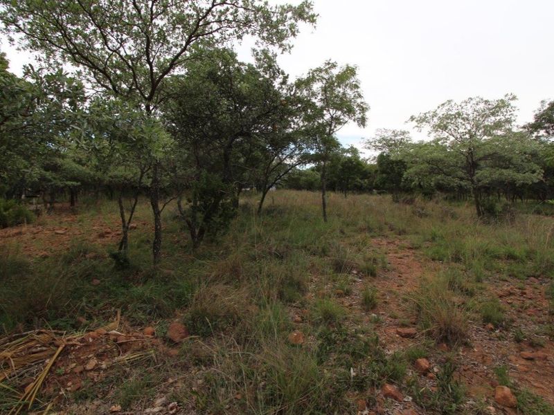 GREEN BELT OASIS - Bushveld Living! - Photo 2