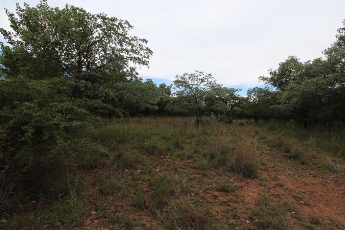 GREEN BELT OASIS - Bushveld Living! - Photo 4