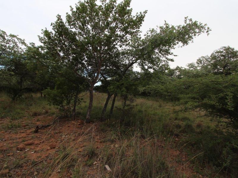 GREEN BELT OASIS - Bushveld Living! - Photo 10