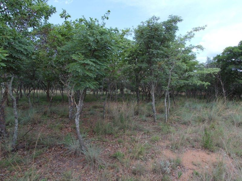 Such a great price! - Photo 2