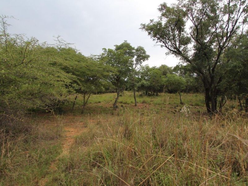 Build your dream house! - Photo 2