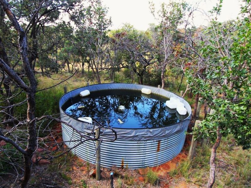 BOSCHHOEK MOUNTAIN ESTATE IS SITUATED IN THE WATERBERG WHICH FORMS PART OF THE UNESCO’S BIOSPHERE - Photo 9