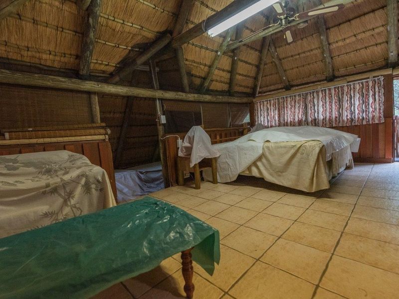 Waterberg Property Heaven on earth !  Waterberg Eiendom Hemel op Aarde! - Photo 7