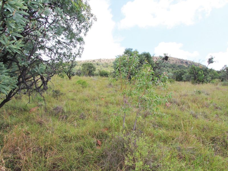 A view of the natural, undeveloped residential land featuring indigenous trees and native grasses with a hilly backdrop.