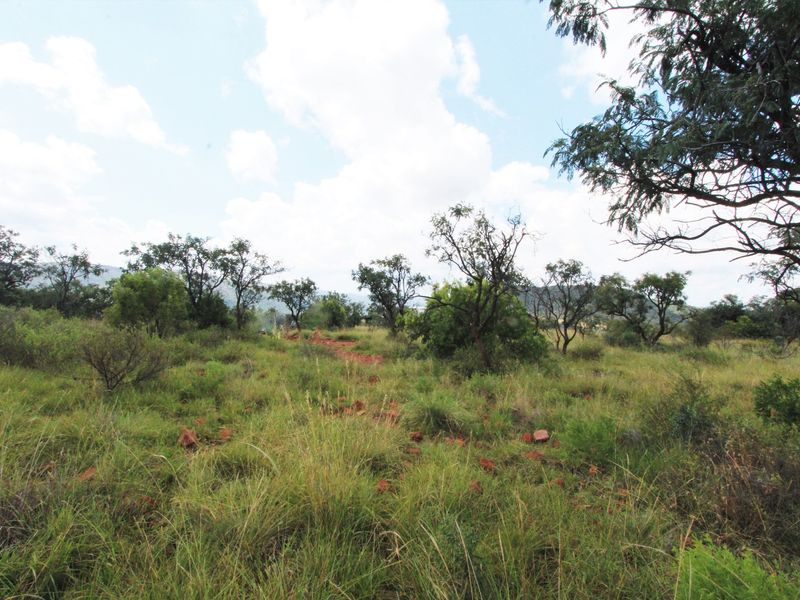 A view of the vacant residential land featuring natural grass, native vegetation, and mature trees across the property.