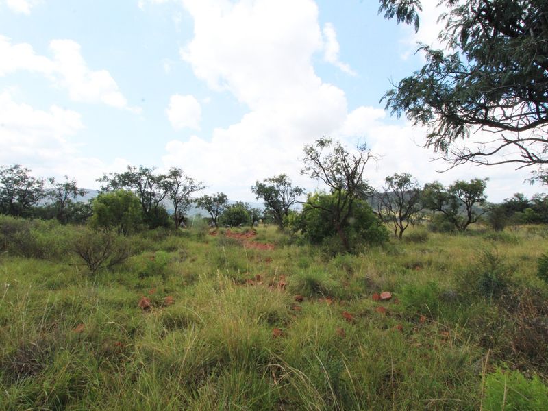 A view of the vacant residential land featuring natural grass cover and scattered mature trees.