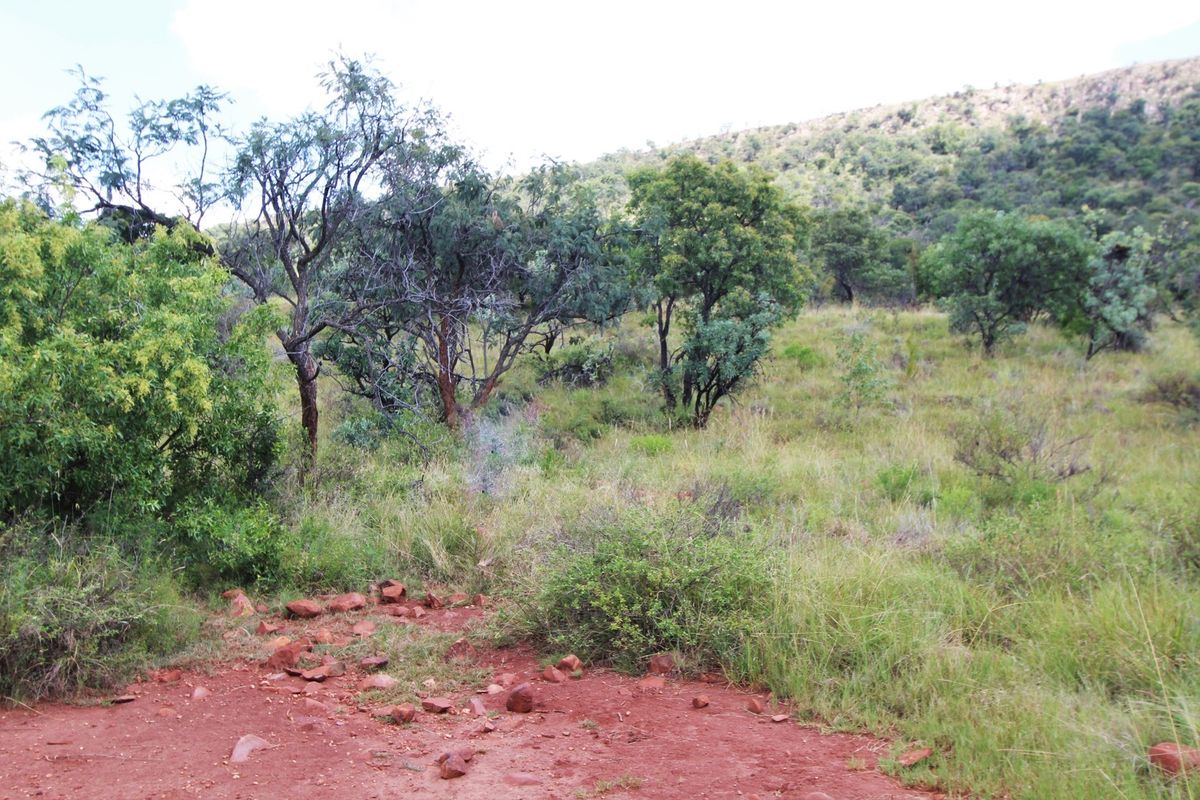 A view of the natural, undeveloped residential land featuring native trees, shrubs, and rocky terrain.