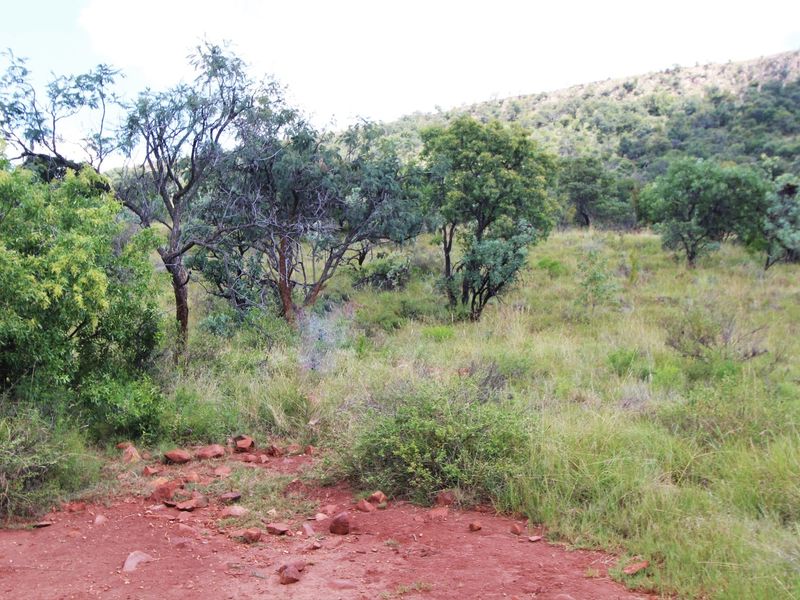 A view of the natural, undeveloped residential land featuring native trees, shrubs, and rocky terrain.
