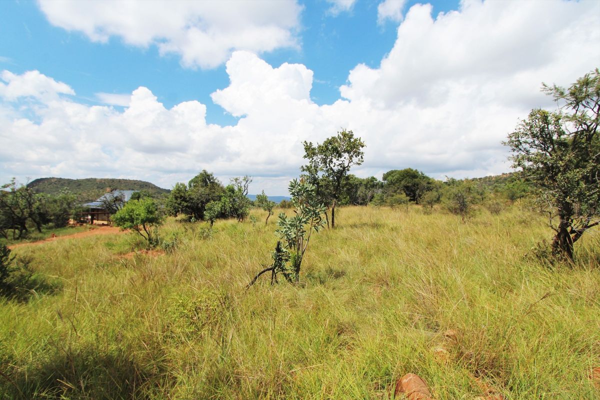 A view of a vacant residential plot featuring natural grassland, scattered trees, and distant hilly terrain under a bright, cloudy sky.