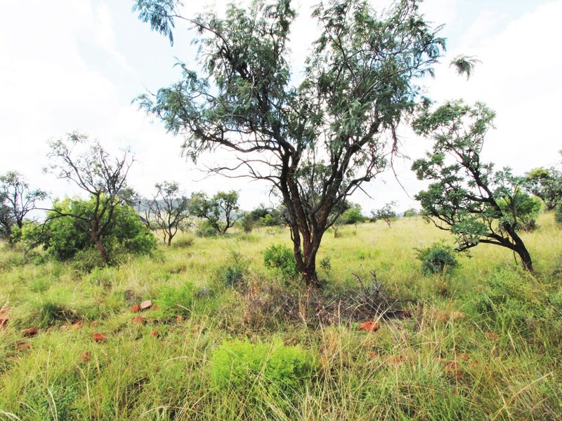 A view of a vacant residential plot featuring natural grass and established native trees.