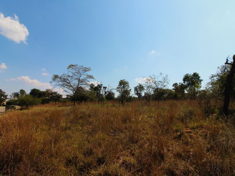 What a deal! - Photo 2