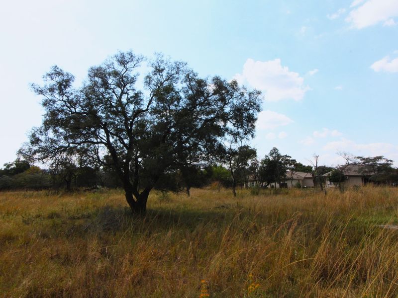 Just look at that view! - Photo 4