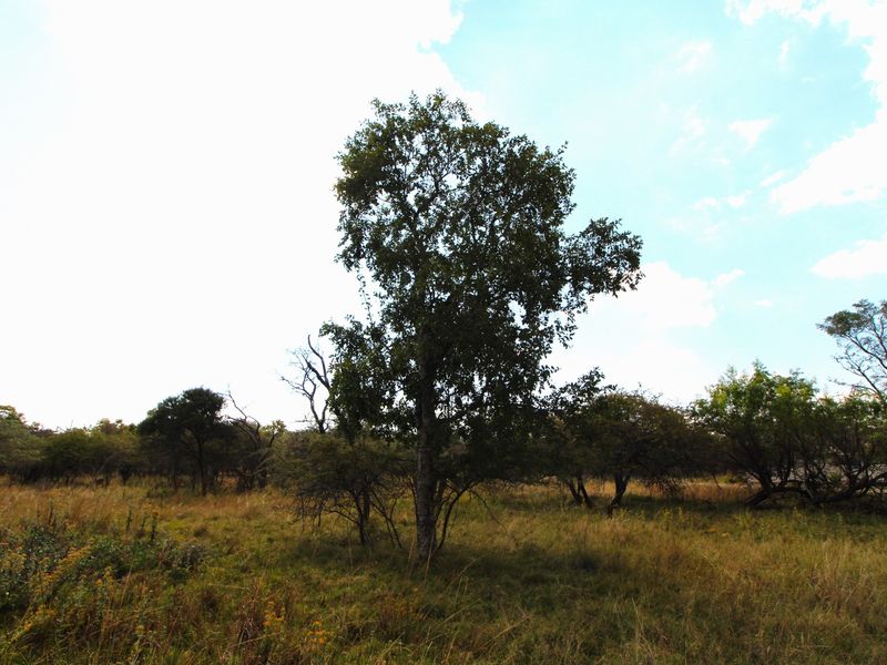 Just look at that view! - Photo 5