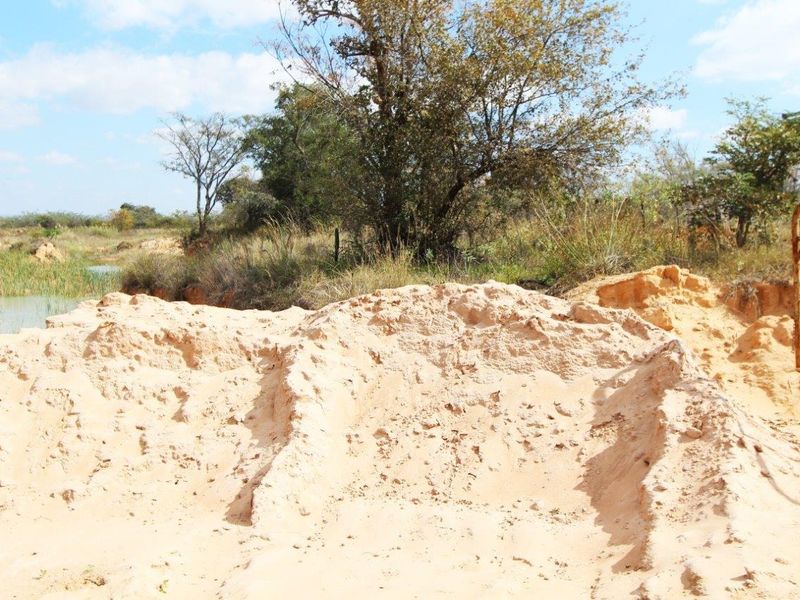 THIS VACANT PEACE OF LAND OF 12.46 HA HAS BUISNESS POTENTIAL AND IS CURRENTLY ALREADY PRODUSING PRO - Photo 5