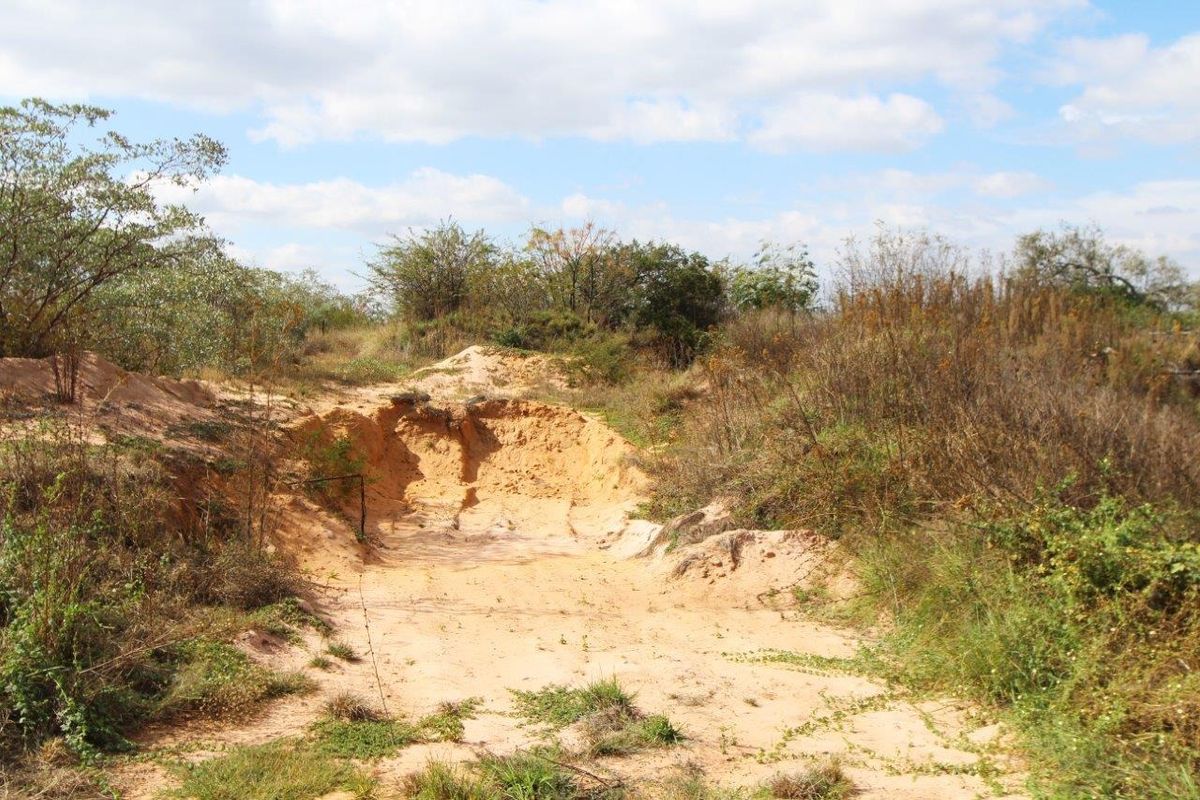 THIS VACANT PEACE OF LAND OF 12.46 HA HAS BUISNESS POTENTIAL AND IS CURRENTLY ALREADY PRODUSING PRO - Photo 4