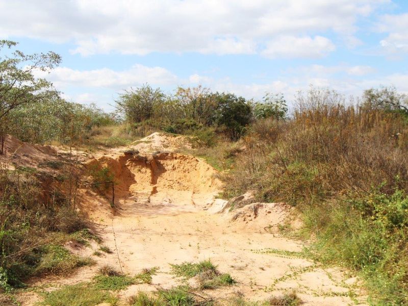 THIS VACANT PEACE OF LAND OF 12.46 HA HAS BUISNESS POTENTIAL AND IS CURRENTLY ALREADY PRODUSING PRO - Photo 4