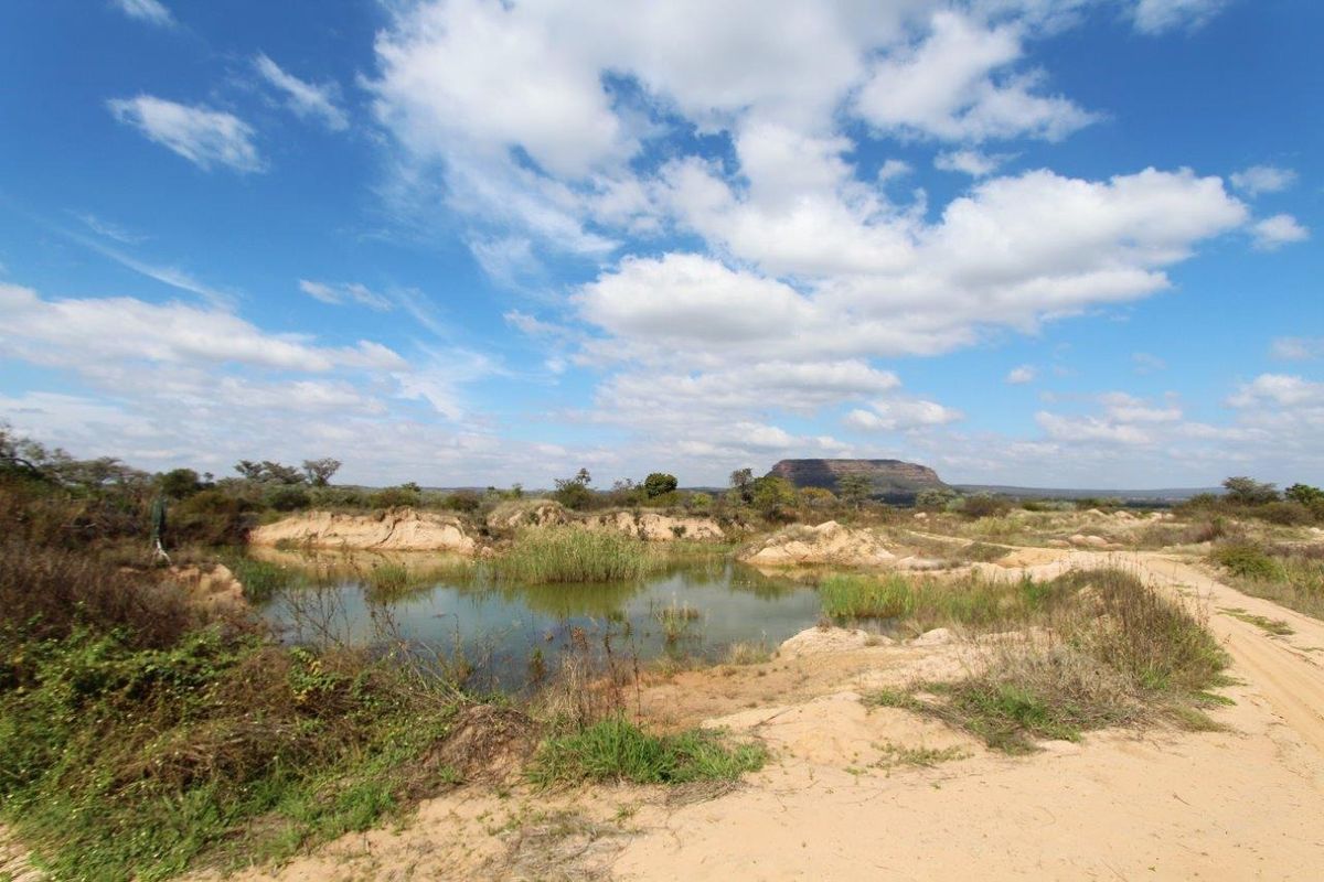 THIS VACANT PEACE OF LAND OF 12.46 HA HAS BUISNESS POTENTIAL AND IS CURRENTLY ALREADY PRODUSING PRO - Photo 2