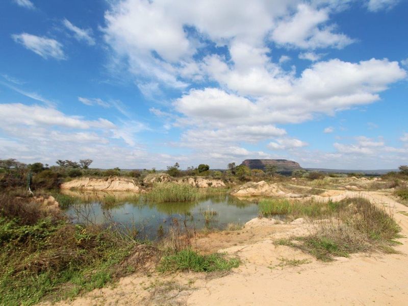 THIS VACANT PEACE OF LAND OF 12.46 HA HAS BUISNESS POTENTIAL AND IS CURRENTLY ALREADY PRODUSING PRO - Photo 2