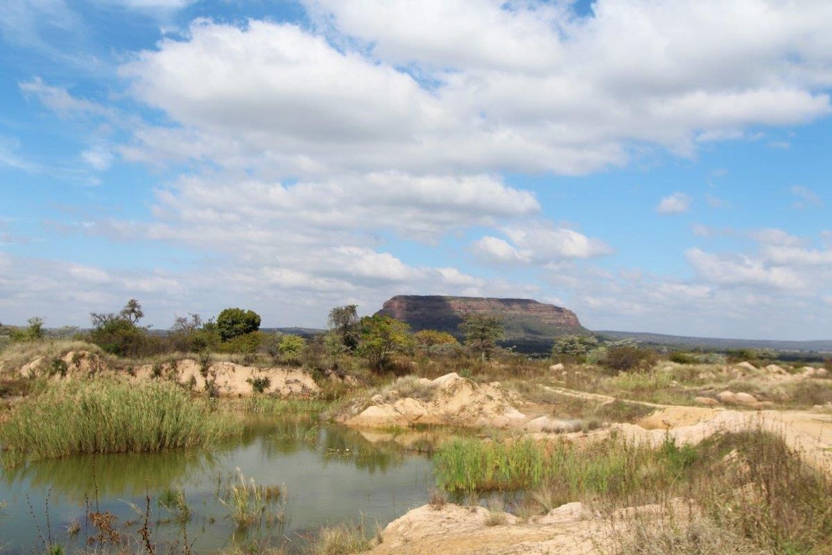 THIS VACANT PEACE OF LAND OF 12.46 HA HAS BUISNESS POTENTIAL AND IS CURRENTLY ALREADY PRODUSING PRO - Photo 3