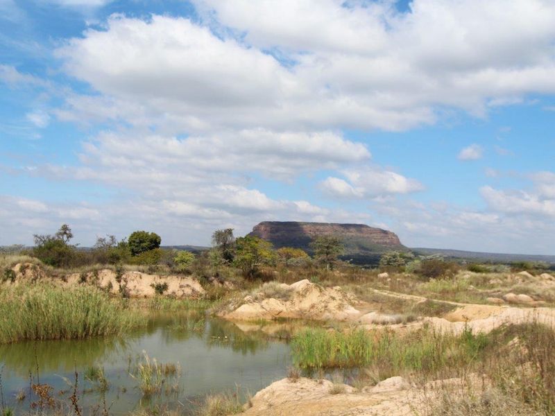 THIS VACANT PEACE OF LAND OF 12.46 HA HAS BUISNESS POTENTIAL AND IS CURRENTLY ALREADY PRODUSING PRO - Photo 3