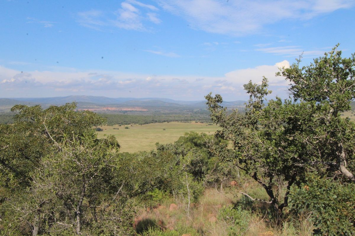 Boschhoek Mountain estate is situated in the Waterberg. - Photo 2