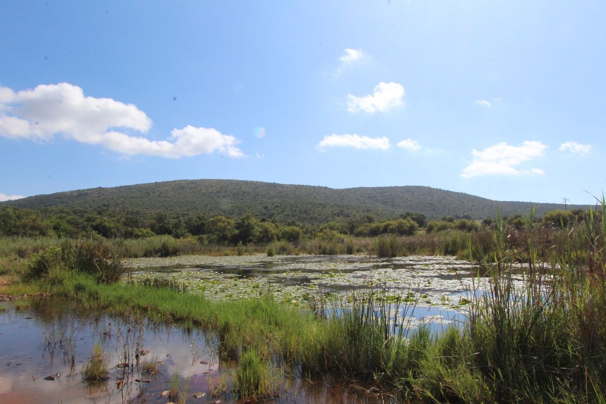 Boschhoek Mountain estate is situated in the Waterberg. - Photo 5