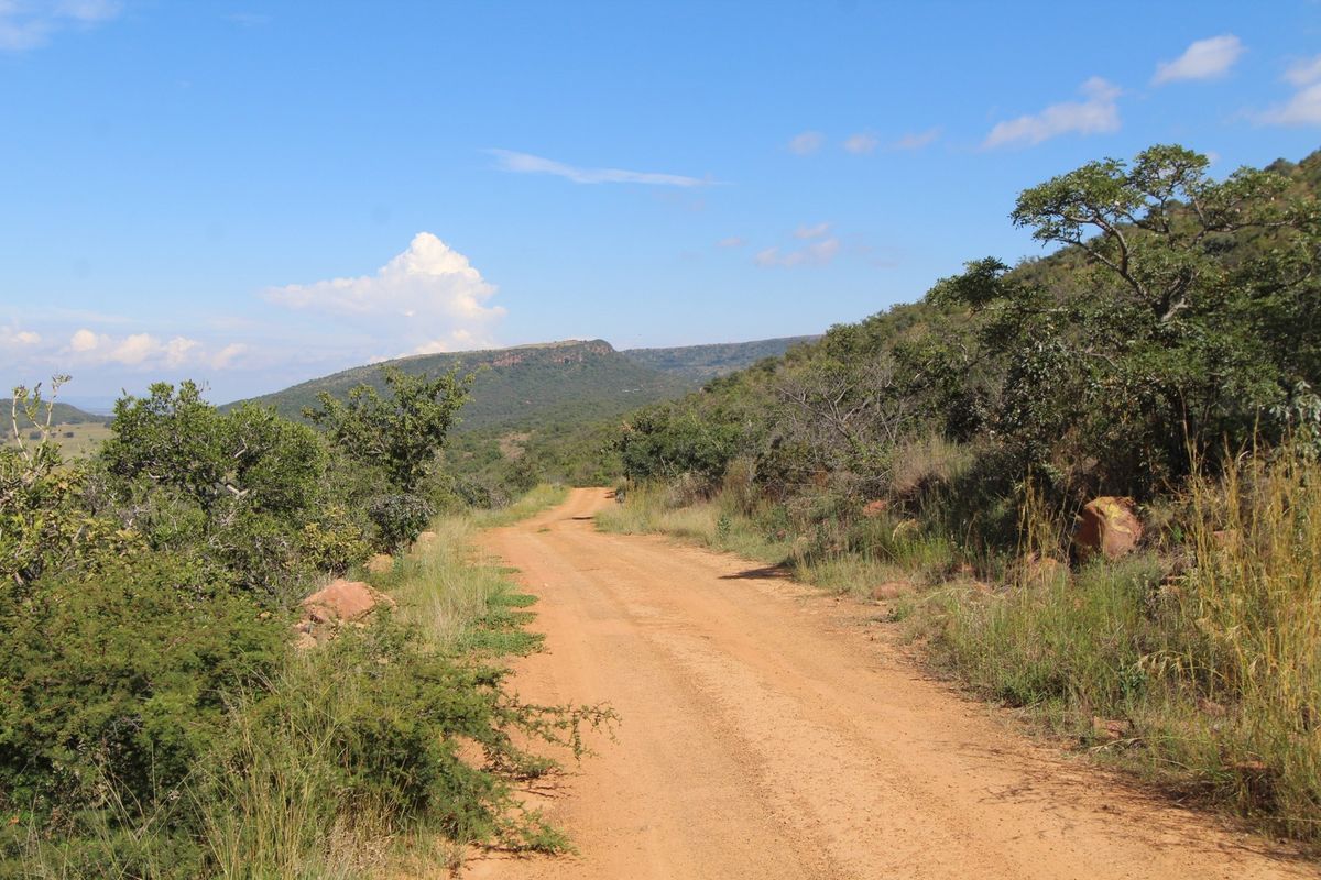 Boschhoek Mountain estate is situated in the Waterberg. - Photo 3