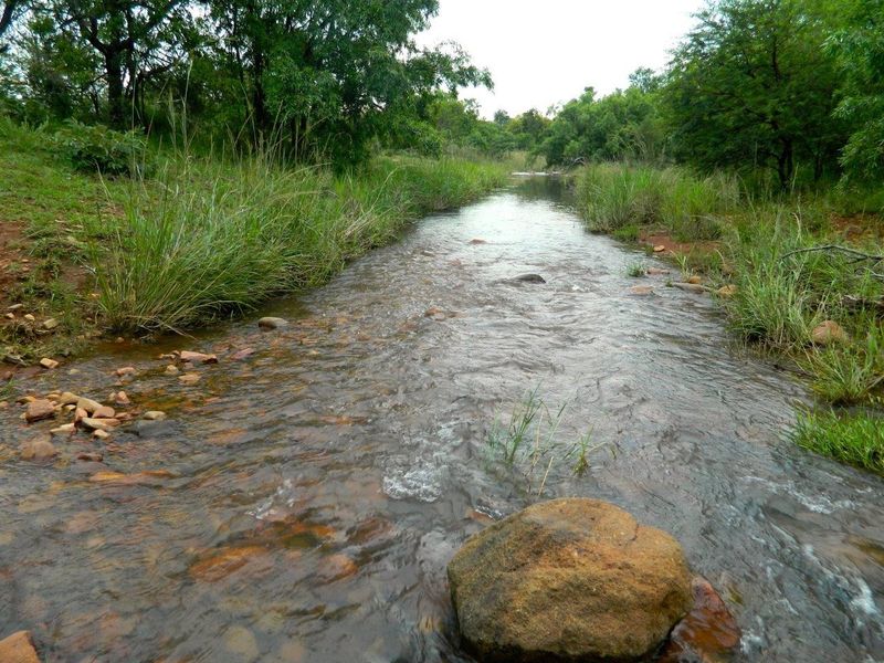 FOR INTERNATIONAL INVESTORS WHO DREAM TO OWN AN EXCLUSIVE PRIVATE GAME RESERVE IN SOUTH AFRICA. - Photo 10