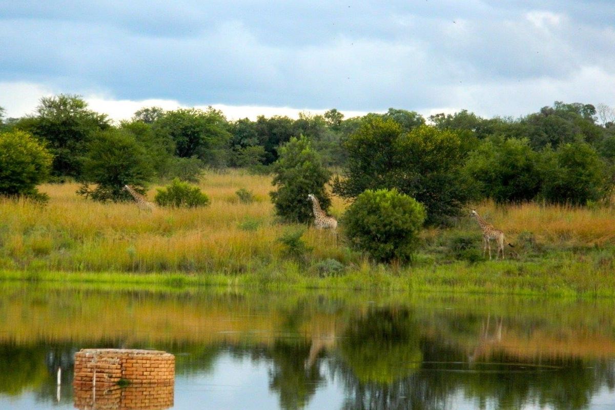 FOR INTERNATIONAL INVESTORS WHO DREAM TO OWN AN EXCLUSIVE PRIVATE GAME RESERVE IN SOUTH AFRICA. - Photo 3
