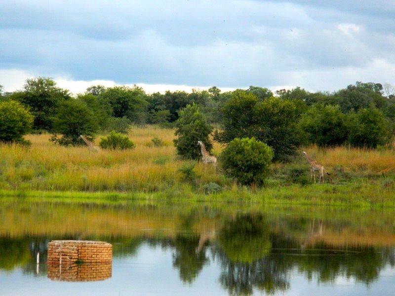 FOR INTERNATIONAL INVESTORS WHO DREAM TO OWN AN EXCLUSIVE PRIVATE GAME RESERVE IN SOUTH AFRICA. - Photo 3