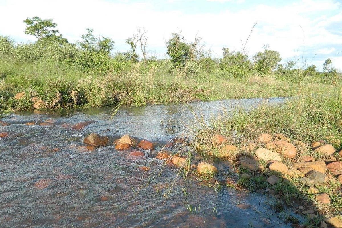 FOR INTERNATIONAL INVESTORS WHO DREAM TO OWN AN EXCLUSIVE PRIVATE GAME RESERVE IN SOUTH AFRICA. - Photo 4