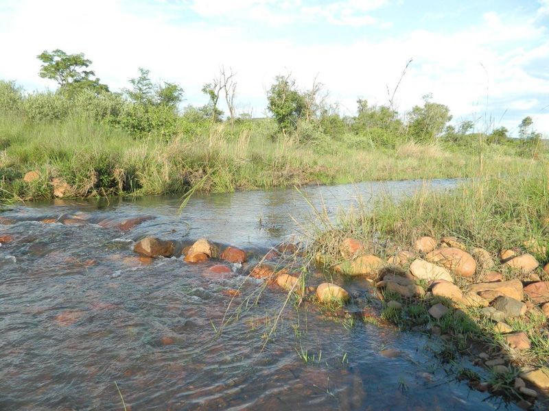 FOR INTERNATIONAL INVESTORS WHO DREAM TO OWN AN EXCLUSIVE PRIVATE GAME RESERVE IN SOUTH AFRICA. - Photo 4