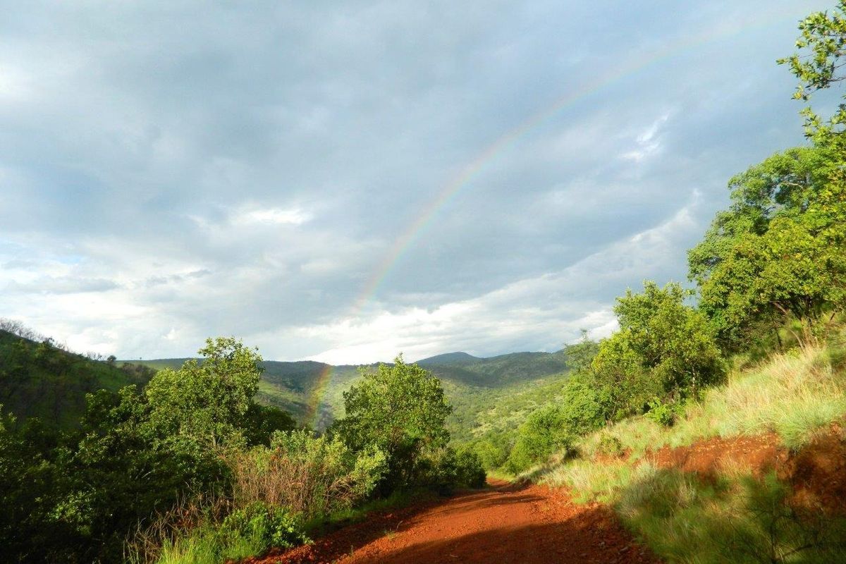 FOR INTERNATIONAL INVESTORS WHO DREAM TO OWN AN EXCLUSIVE PRIVATE GAME RESERVE IN SOUTH AFRICA. - Photo 2