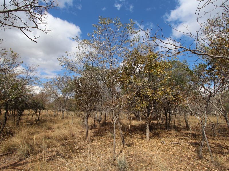 A 980 SQ M STAND ON THE POPULAR KORO CREEK GOLF ESTATE - Photo 6