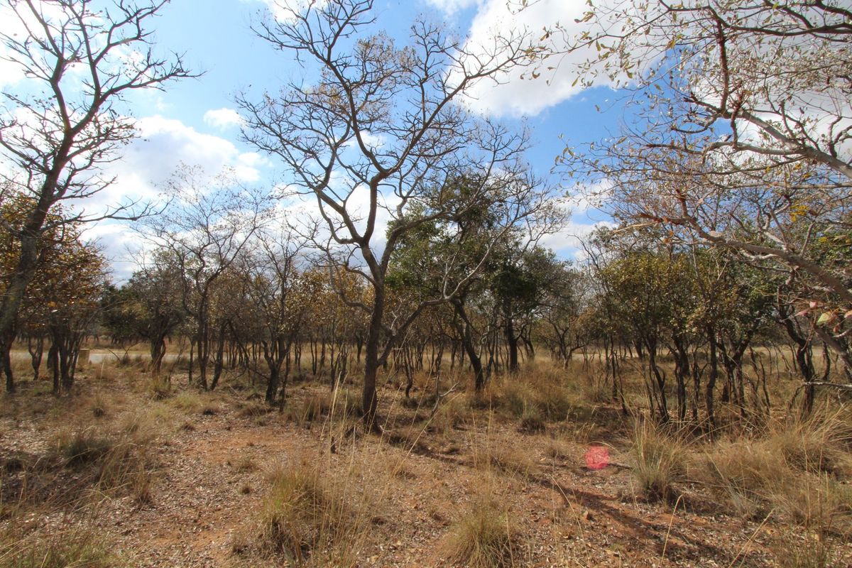 A 980 SQ M STAND ON THE POPULAR KORO CREEK GOLF ESTATE - Photo 5