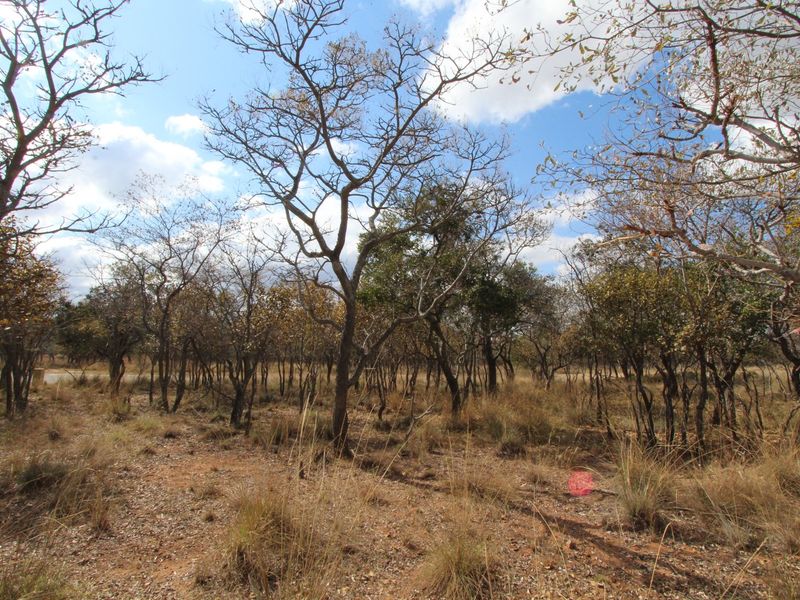 A 980 SQ M STAND ON THE POPULAR KORO CREEK GOLF ESTATE - Photo 5