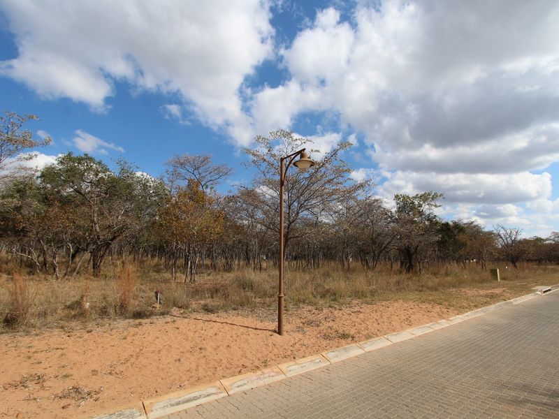 A 980 SQ M STAND ON THE POPULAR KORO CREEK GOLF ESTATE - Photo 2