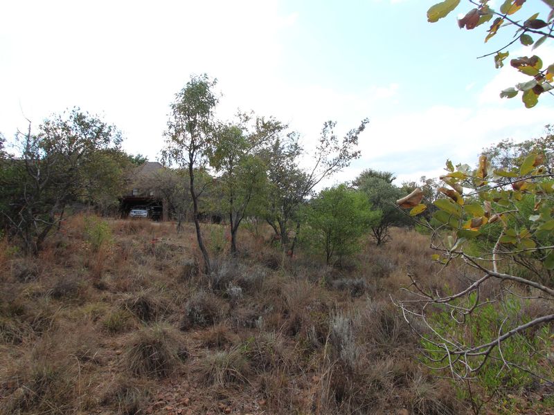 THIS 1350 SQ METER STAND ON THE AMAZING KORO CREEK GOLF ESTATE COULD BE YOURS. - Photo 7