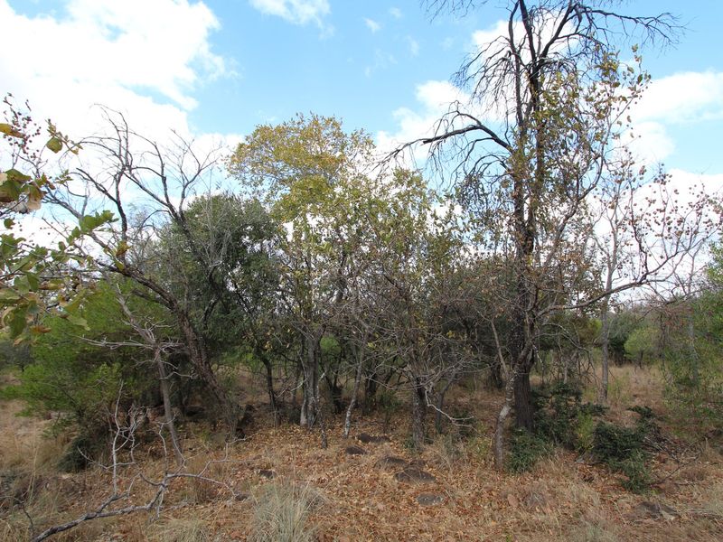 THIS 1350 SQ METER STAND ON THE AMAZING KORO CREEK GOLF ESTATE COULD BE YOURS. - Photo 6