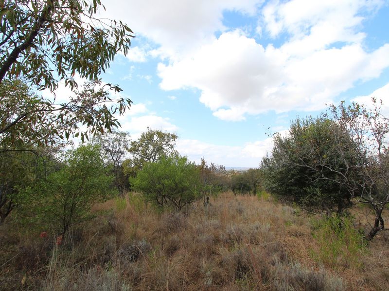 THIS 1350 SQ METER STAND ON THE AMAZING KORO CREEK GOLF ESTATE COULD BE YOURS. - Photo 2